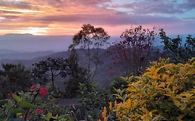 Mirador Finca Morrogacho